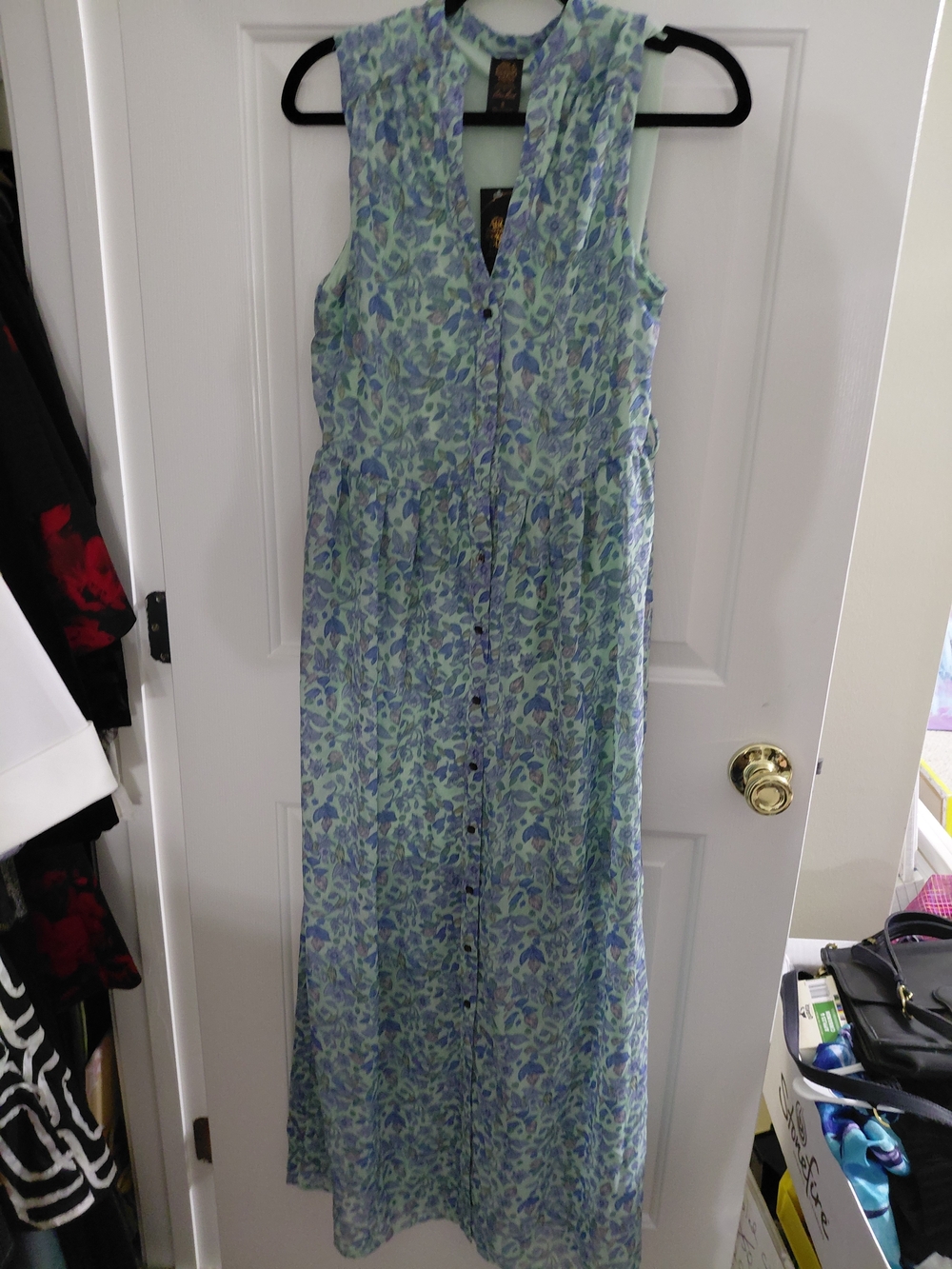 Disney Sleeveless Blue and Green Floral Button-Front Maxi Dress